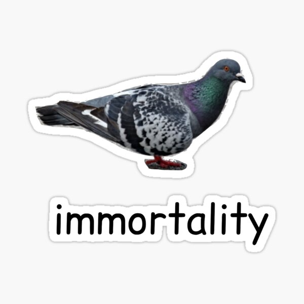 Pigeon Meme Stickers Redbubble