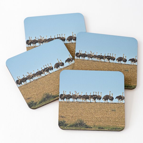 Item preview, African Birds Ostriches in a Row, South Africa  designed and sold by worldways.