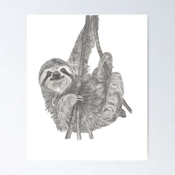Norman the Sloth Poster