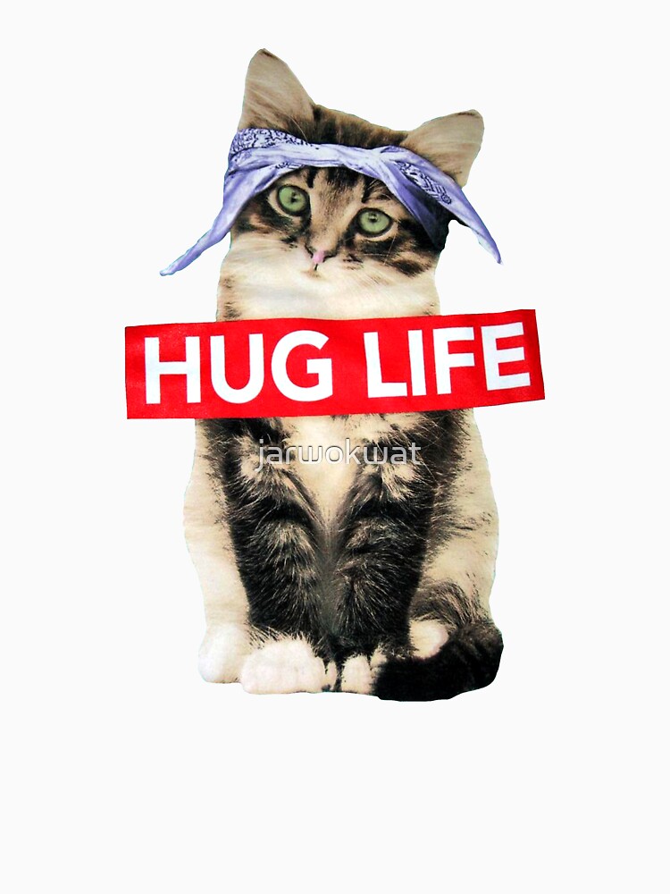 Cat life. No Cat no Life. Хуг лайф перевод. Free hugs Cat.