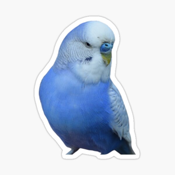Item preview, Blue Budgie Parakeet Lovers Design designed and sold by silviaol.