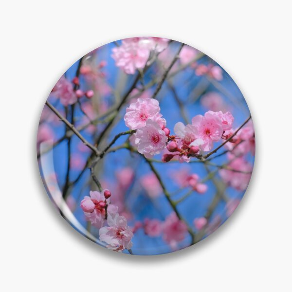Item preview, Prunus blireana designed and sold by Gabrielle  Lees.