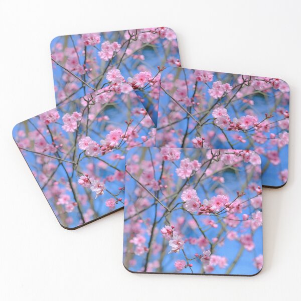 Item preview, Prunus blireana designed and sold by Gabrielle  Lees.