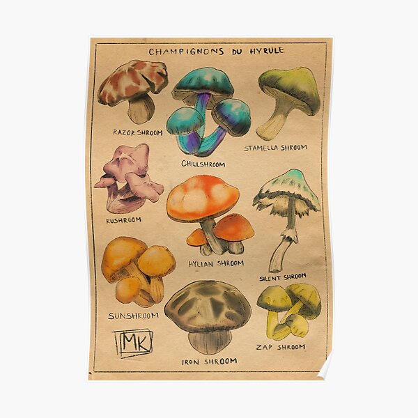 Champignons von Hyrule Poster