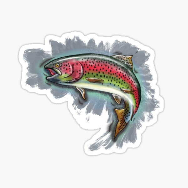 Procreate Rainbow Trout Sticker