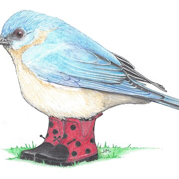 Artwork thumbnail, Bluebird in Ladybug Boots by JimsBirds