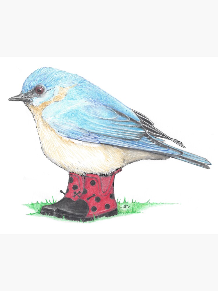 Thumbnail 3 of 3, Sticker, Bluebird in Ladybug Boots designed and sold by JimsBirds.