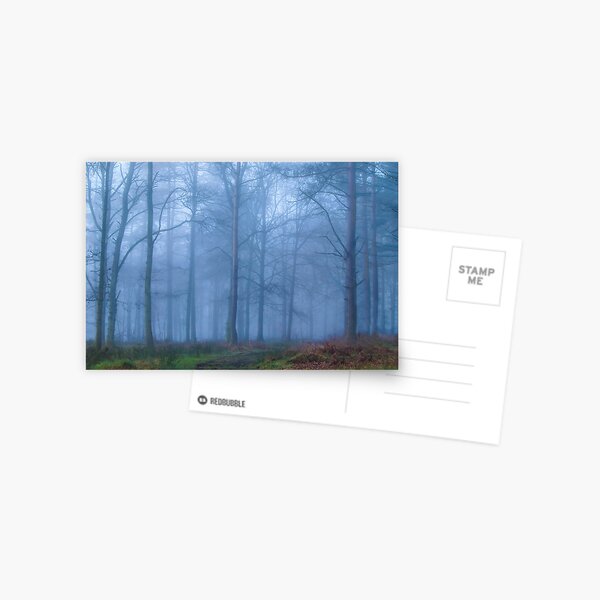 Item preview, Misty Whinfell Forest designed and sold by jaks.