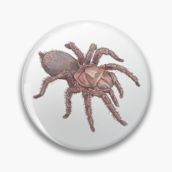 Item preview, Australian Featherleg Tarantula designed and sold by Hildegunn Hodne.
