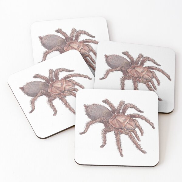 Item preview, Australian Featherleg Tarantula designed and sold by Hildegunn Hodne.