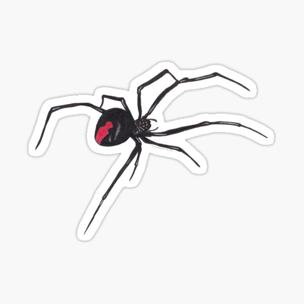 Red-back spider Sticker