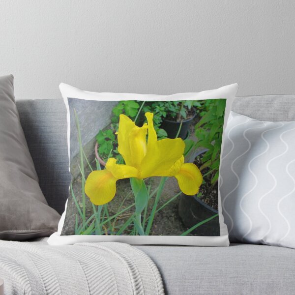 Item preview, BEAUTIFUL LONE YELLOW IRIS designed and sold by JAYMILO.