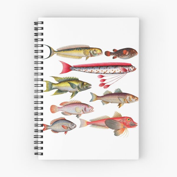 Item preview, Colorful Fish Illustration designed and sold by SowCow.