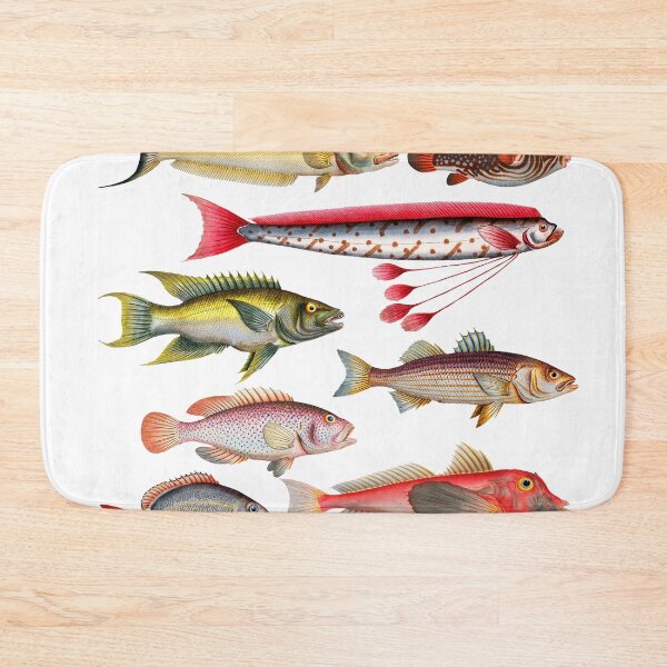 Item preview, Colorful Fish Illustration designed and sold by SowCow.