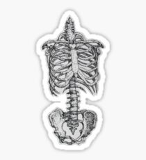 Skeleton in White Sticker