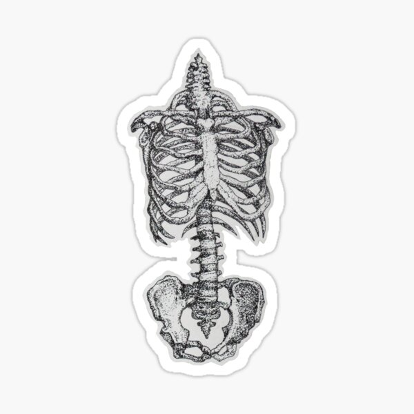 rib cage with love heart and devil wings' Sticker