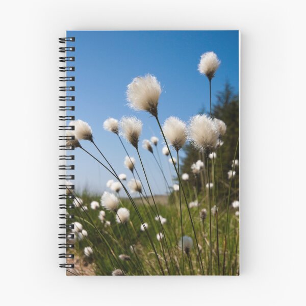 Item preview, Cotton Grass designed and sold by fotohebden.