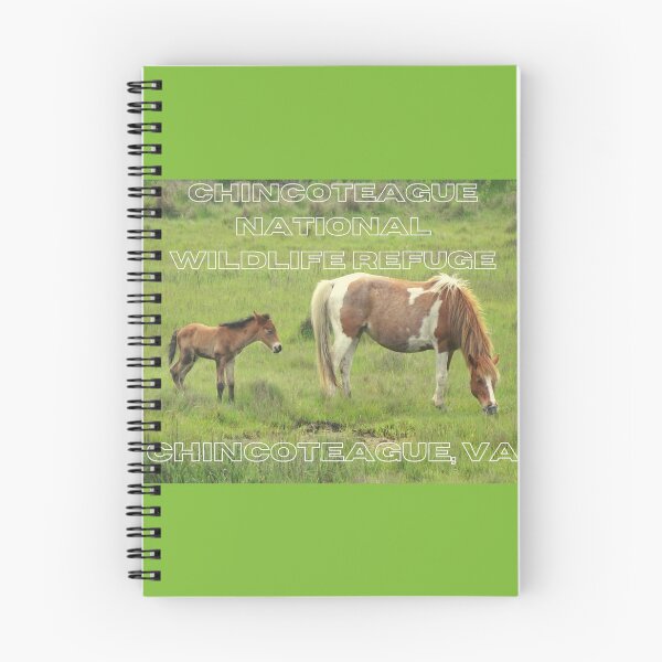 Item preview, Chincoteague National Wildlife Refuge Ponies designed and sold by freereign82.
