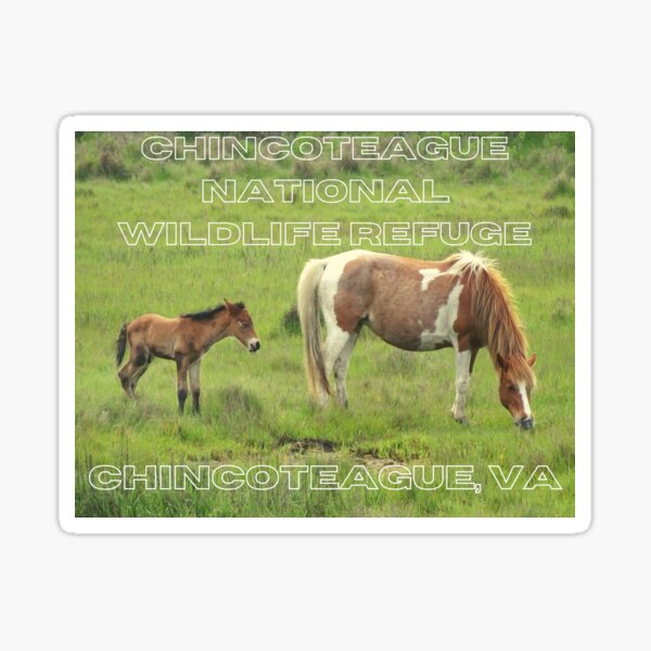 Item preview, Chincoteague National Wildlife Refuge Ponies designed and sold by freereign82.