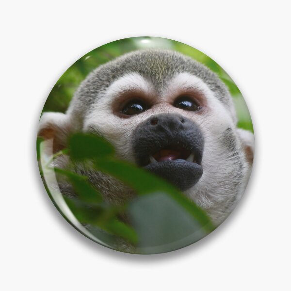 Item preview, Squirrel Monkey Through the Leaves designed and sold by richardbryce.