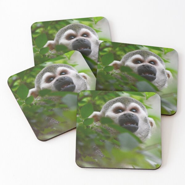 Item preview, Squirrel Monkey Through the Leaves designed and sold by richardbryce.