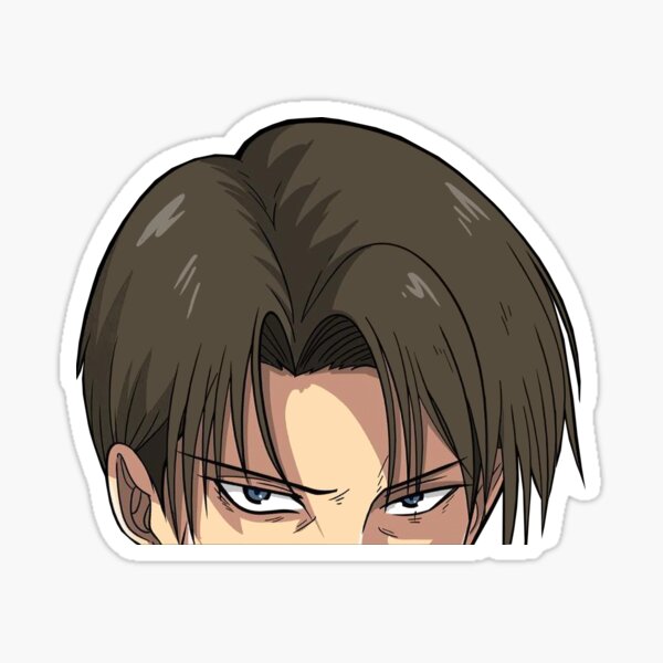 Levi Ackerman mirón Pegatina