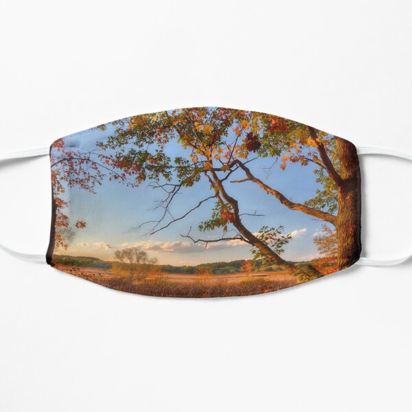 A Tree's View of Autumn on the Marsh Flat Mask
