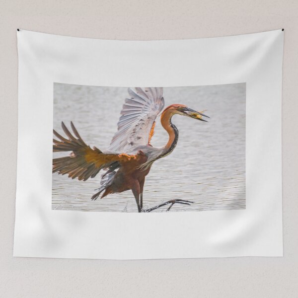 Item preview, Giant Heron with Fish - Krüger National Park, South Africa designed and sold by holgermader.