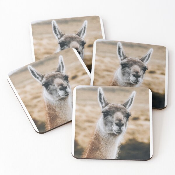 Item preview, Hey there Mr Guanaco! designed and sold by thewildpeoplego.