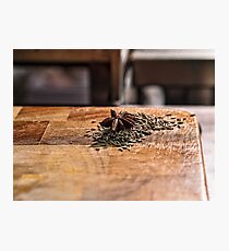 Spice Photographic Print