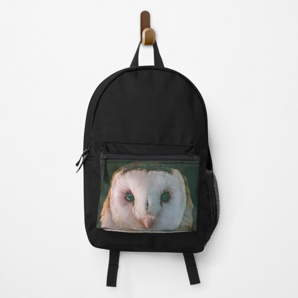Item preview, Bay Owl with Beautiful Green Eyes designed and sold by David ST Loh Images.