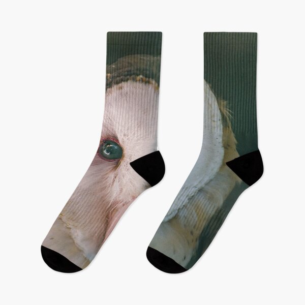 Item preview, Bay Owl with Beautiful Green Eyes designed and sold by David ST Loh Images.