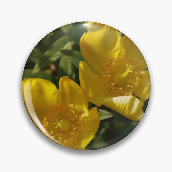Item preview, Rose of Sharon designed and sold by valerie travers.
