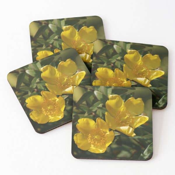 Item preview, Rose of Sharon designed and sold by valerie travers.