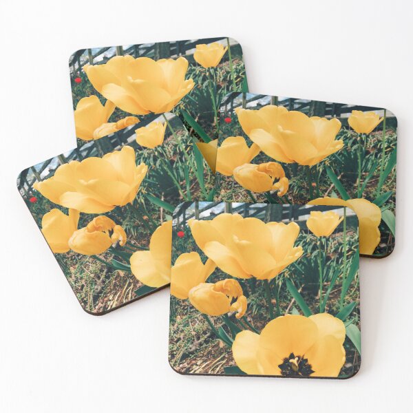 Item preview, Sunshine Tulips designed and sold by Wildwood Flower Photography Co. by Tamara Black.