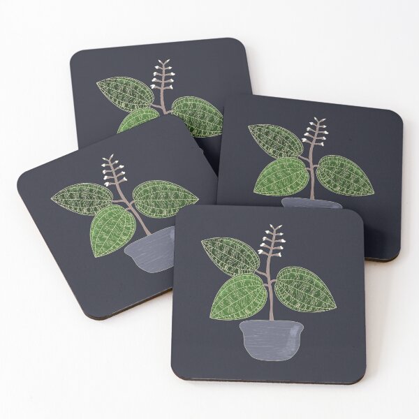 Item preview, Jewel Orchid Plant (Macodes Petola) Art designed and sold by TASORA.