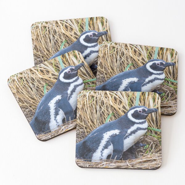 Item preview, Magellanic Penguin with Baby near Ushuaia, Argentina designed and sold by holgermader.