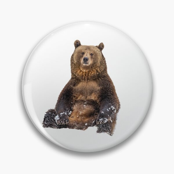 Artikelvorschau, Sitzender Braunbär im Schnee entworfen und verkauft von Ingo Gerlach.