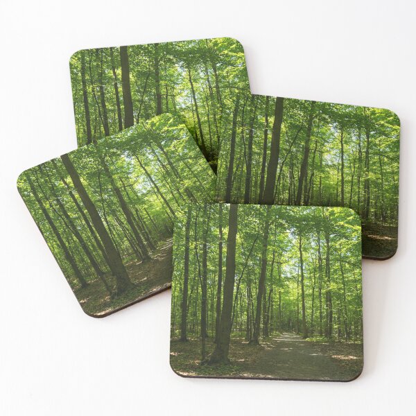 Item preview, Forest Bathing - Midsummer Walk on a Calming Sun Dappled Path designed and sold by Georgia Mizuleva.