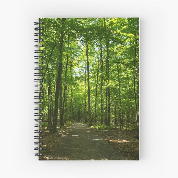 Item preview, Forest Bathing - Midsummer Walk on a Calming Sun Dappled Path designed and sold by Georgia Mizuleva.