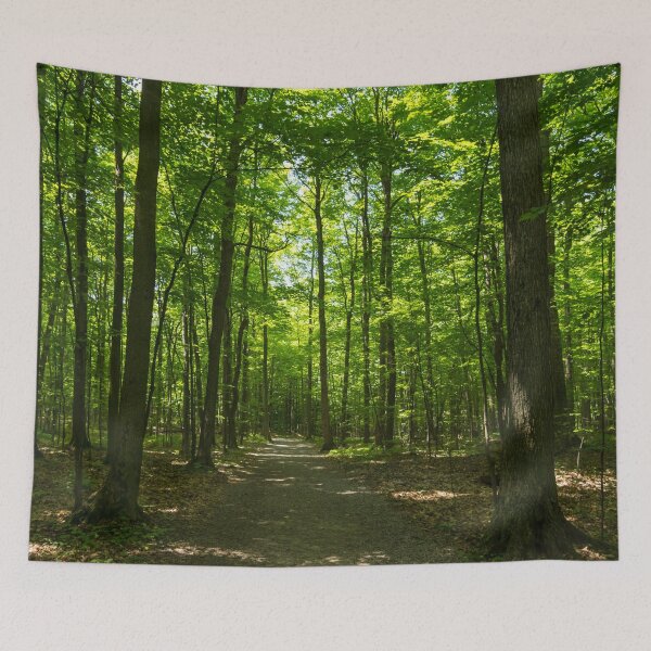 Item preview, Forest Bathing - Midsummer Walk on a Calming Sun Dappled Path designed and sold by Georgia Mizuleva.