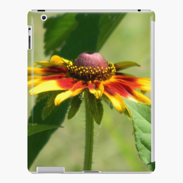 Plains Coreopsis iPad Snap Case