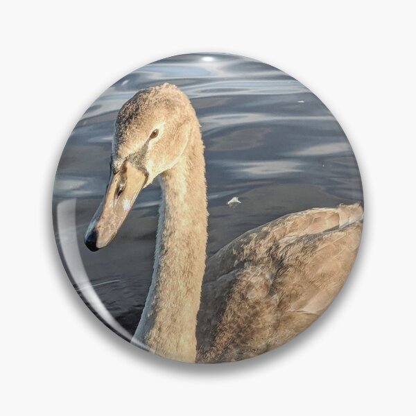 Artikelvorschau, Das hässliche Entlein (Cygnet) entworfen und verkauft von Fluffycat2020.