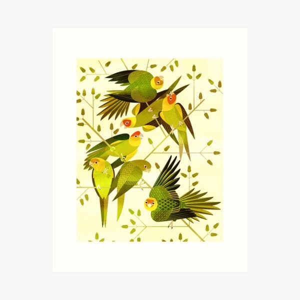 Item preview, Carolina Parakeet designed and sold by Scott Partridge.