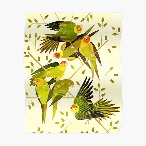 Carolina Parakeet Poster