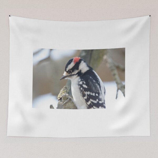 Item preview, Downy Woodpecker (Dryobates pubescens) designed and sold by rodmacpherson.