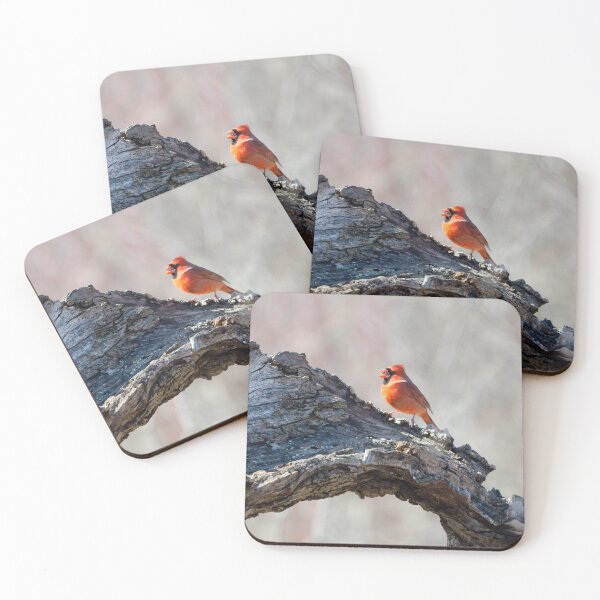 Item preview, Northern Cardinal (Cardinalis cardinalis) designed and sold by rodmacpherson.