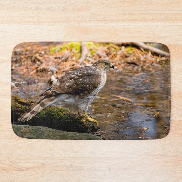Item preview, Coopers Hawk designed and sold by Michael Cummings.