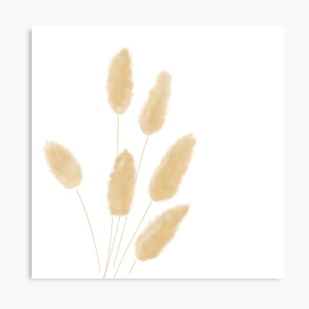 Pampas grass watercolor Poster for Sale by anna0711