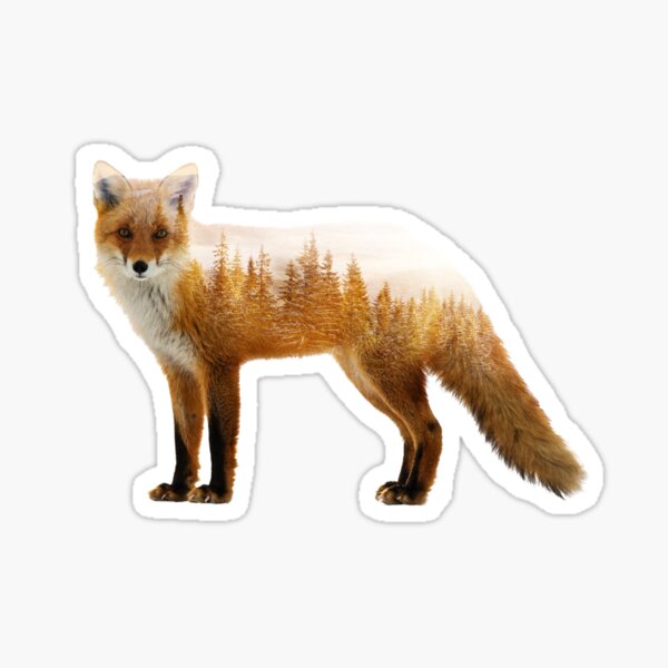 Forest Fox Sticker